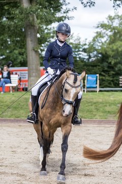 Bild 381 - Pony Akademie Turnier